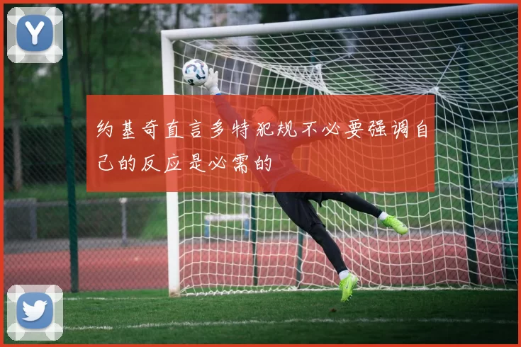 约基奇直言多特犯规不必要强调自己的反应是必需的
