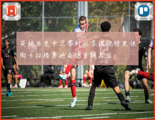 英超历史中卫零封记录揭晓特里领衔卡拉格费迪南德紧随其后